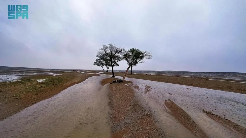 NCM warns of heavy rain and flash floods hitting several Saudi regions on Tuesday