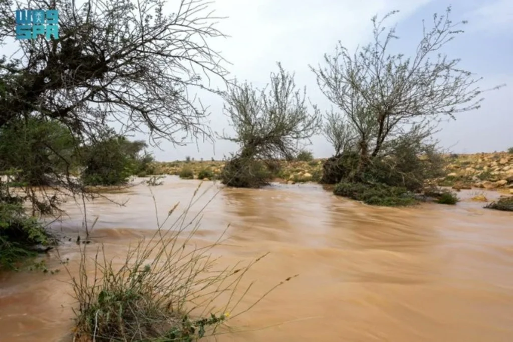 Eastern Province sees 40.6mm of rain as NCM monitors Kingdom-wide activity