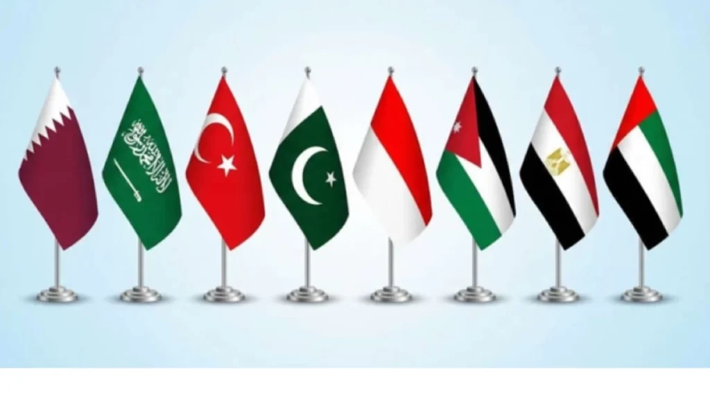 Islamic foreign ministers condemn Ben-Gvir’s appalling actions against Gaza-bound flotilla activists
