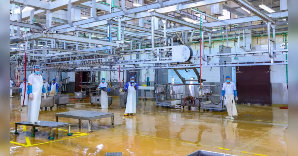 11 slaughterhouses to operate 14 hours daily during Eid Al Adha in Al Ain