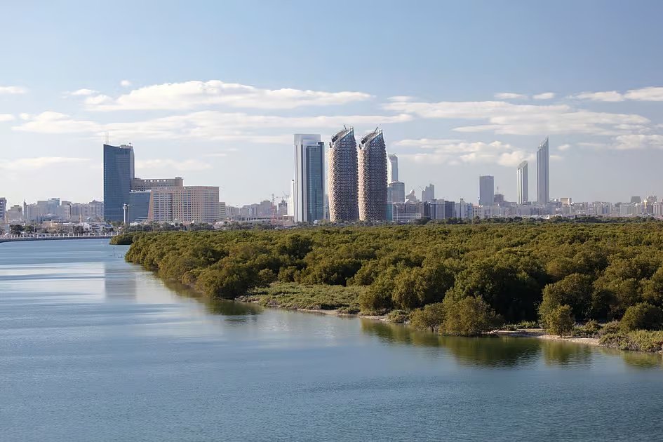 UAE weather tomorrow: Temperature to rise to 38°C in Abu Dhabi; chance of mist