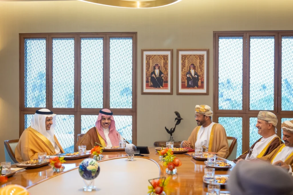 Saudi, Omani foreign ministers discuss Hormuz navigation security