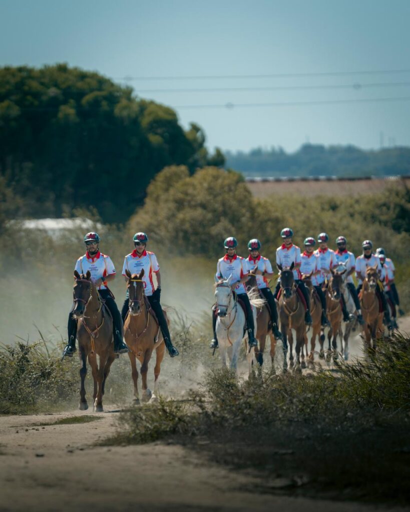 UAE endurance team defends World Young Horses titles in Portugal